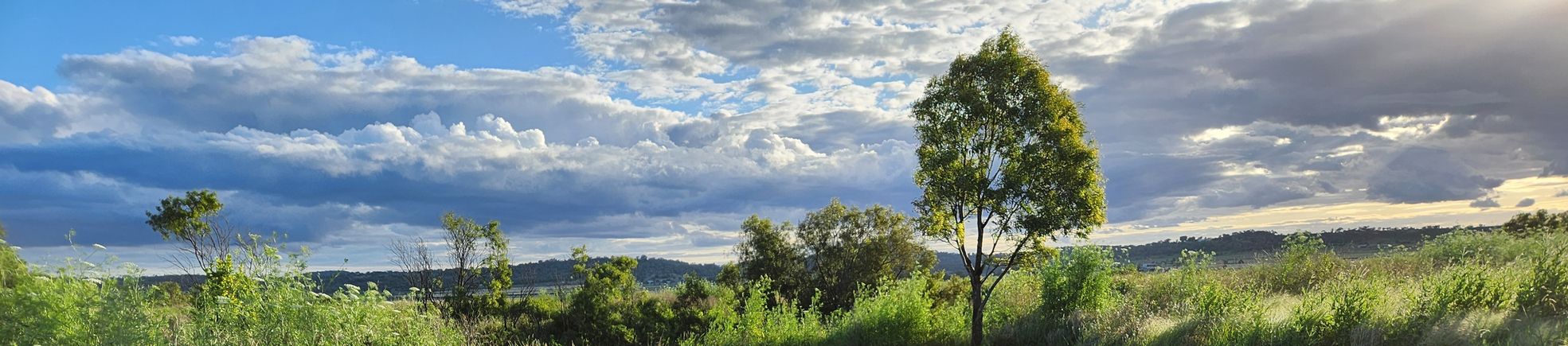 Australian country view.